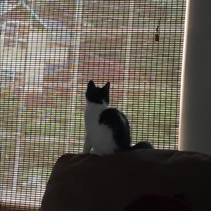 Meet your Posher, Taylor